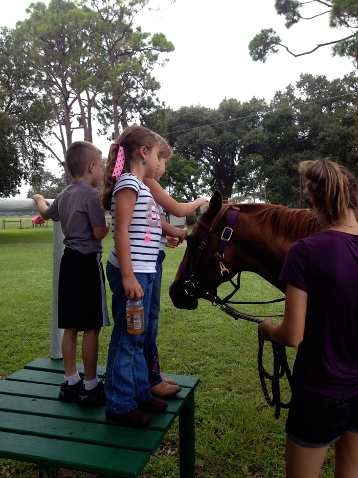 Learning About Horses at Diamond P